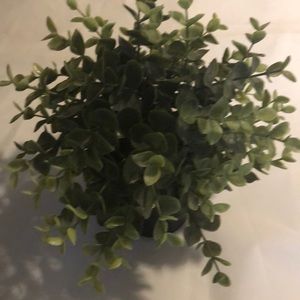 Meet your Posher, Mona